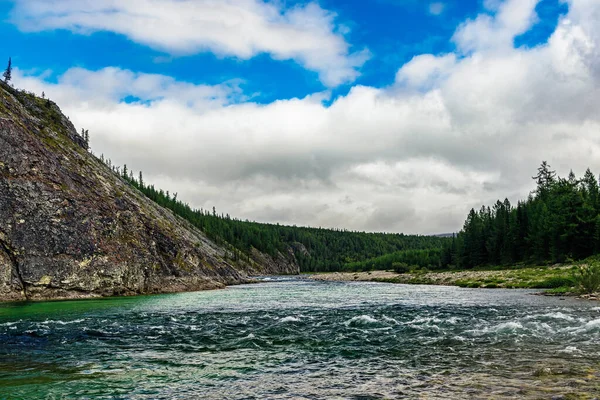 Clear Northern River Flowing Rocks Forest Area Summer Day — Stock Photo, Image