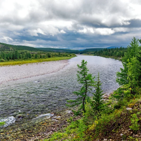 Klar Norra Flod Som Rinner Bland Klipporna Ett Skogsområde Sommardag — Stockfoto