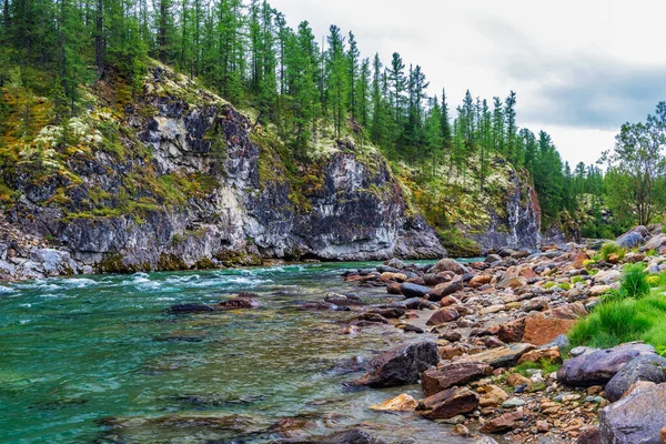 Limpido Fiume Settentrionale Che Scorre Tra Rocce Una Zona Boschiva — Foto Stock