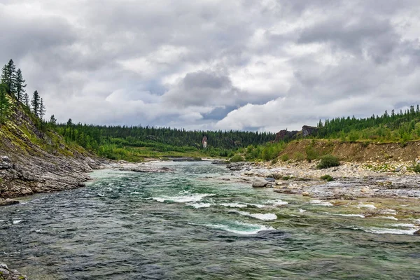 Clear Northern River Flowing Rocks Forest Area Summer Day — Stock Photo, Image