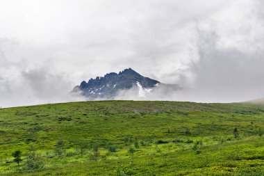 Bulutlu Manaraga Dağı yağmurlu bir günde Kuzey Kutbu Uralları 'nda tundranın üzerinde yükseliyor.
