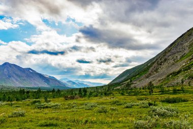 Bir yaz günü Subpolar Urallar 'da bir dağ vadisi ve kayalık dağlarla manzara