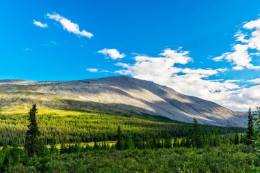 Bir yaz günü kutup altı Urallar 'da orman üzerinde yükselen bir dağ sırası.