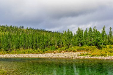 Bir yaz günü bir orman bölgesinde akan şeffaf bir kuzey nehri.