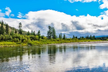 Bir yaz günü kayaların arasında akan berrak bir kuzey nehri.
