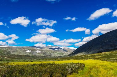 Kutupaltı Urallar 'da bir yaz gününde Tundra ve dağlar