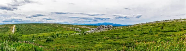 夏の日に灰色の岩の尾根と緑の牧草地のパノラマ — ストック写真