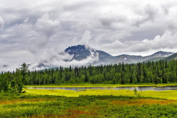 Mont Manaraga Voilé Domine Forêt Oural Subpolaire Par Jour Pluie — Photo