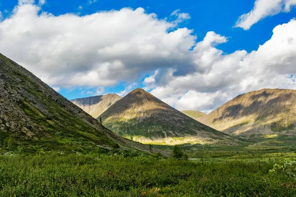 Landschaft Mit Gebirgstal Und Felsigen Bergen Subpolaren Ural Einem Sommertag — Stockfoto