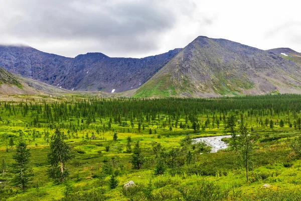 夏日的风景 高山谷地 亚极区的岩石山 — 图库照片