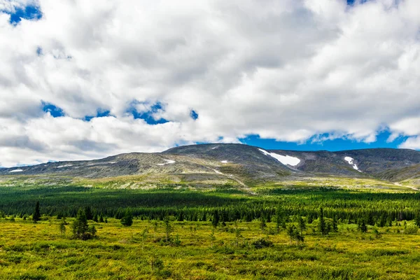 Mountain Range Towering Forest Subpolar Urals Summer Day — Stock Photo, Image