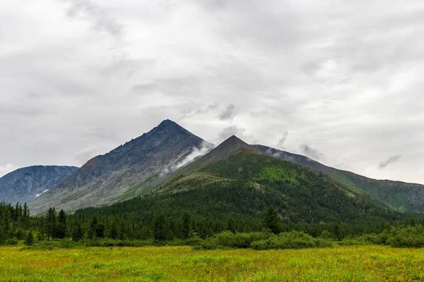 雨の日には亜寒帯の森の上にそびえる山の峰 — ストック写真