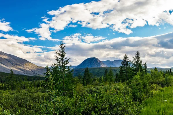 Een Berg Piek Torende Boven Het Woud Subpolaire Oeral Een — Stockfoto