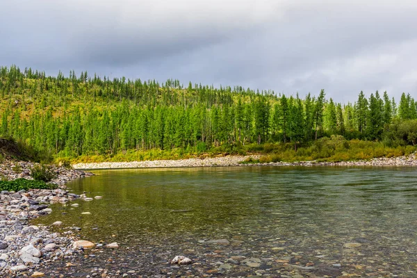 Limpido Fiume Trasparente Del Nord Che Scorre Area Boschiva Una — Foto Stock