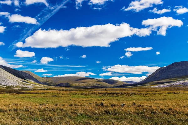 Kutupaltı Urallar Bir Yaz Gününde Tundra Dağlar — Stok fotoğraf