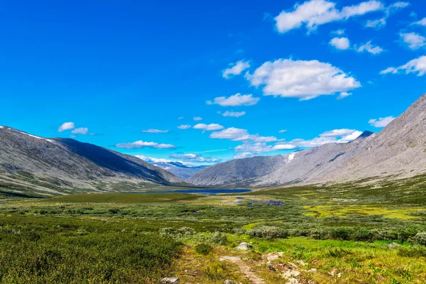 Kutupaltı Urallar Bir Yaz Gününde Tundra Dağlar — Stok fotoğraf