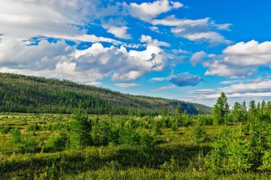 Kutup altı Urallar 'daki Tundra ormanı ve dağlar güneşli bir yaz gününde