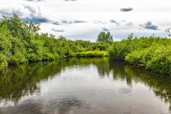 Cold Stream Flowing Bushes Northern Area Cloudy Day — Stock Photo, Image