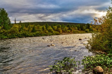 Kuzey nehri, Kuzey Kutup altı Urallar 'daki orman bölgesinde kasvetli bir akşamda