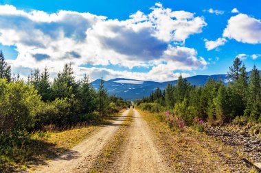 Bir yaz günü, kozalaklı bir ormandan, Subpolar Urallar 'daki dağlara giden kirli bir yol.