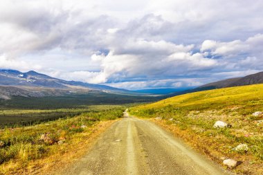 Bir yaz günü, kozalaklı bir ormandan, Subpolar Urallar 'daki dağlara giden kirli bir yol.