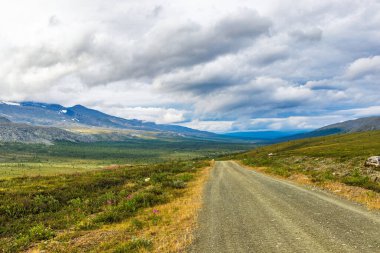 Bir yaz günü, kozalaklı bir ormandan, Subpolar Urallar 'daki dağlara giden kirli bir yol.