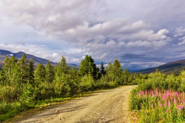 Bir yaz günü, kozalaklı bir ormandan, Subpolar Urallar 'daki dağlara giden kirli bir yol.