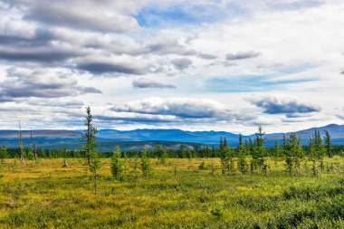 Kutup altı tundra kozalaklı orman ve Urallar 'daki uzak dağ sıraları bir yaz günü
