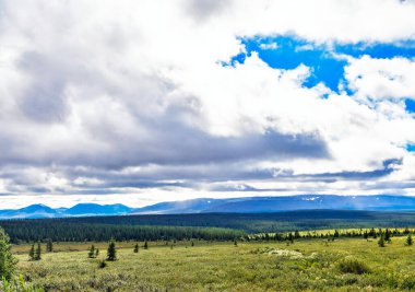 Kutup altı tundra kozalaklı orman ve Urallar 'daki uzak dağ sıraları bir yaz günü
