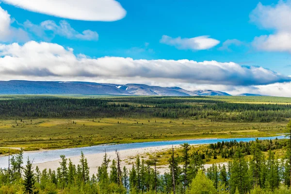 Fluss Koschim Einem Waldgebiet Subpolaren Ural Einem Sommertag — Stockfoto