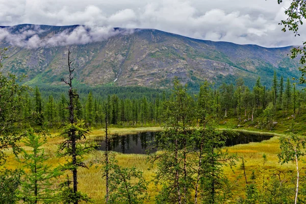 Lac Froid Dans Une Zone Forestière Oural Subpolaire Par Une — Photo