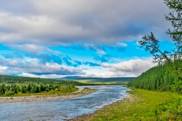 Río Kozhim Una Zona Forestal Los Urales Subpolares Día Verano —  Fotos de Stock