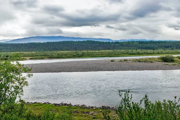 Rzeka Kozhim Strefie Leśnej Wezwanym Uralu Ponury Dzień — Zdjęcie stockowe