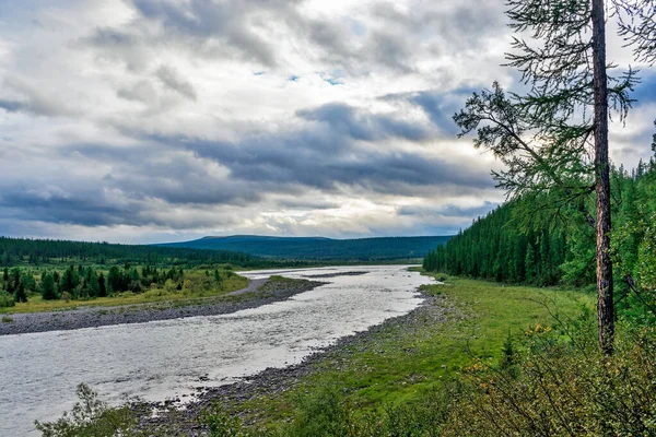 River Kozhim Forest Area Subpolar Urals Gloomy Day — Stock Photo, Image