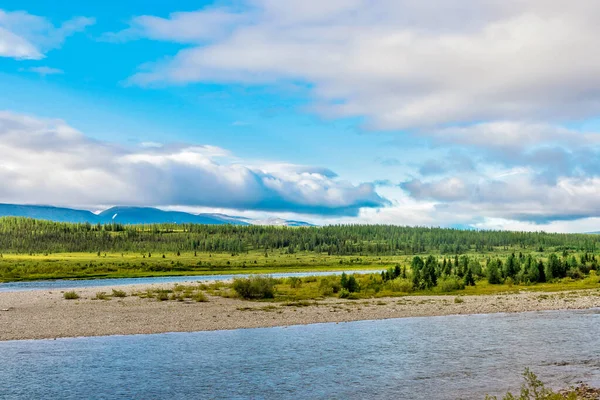 Fluss Koschim Einem Waldgebiet Subpolaren Ural Einem Sommertag — Stockfoto