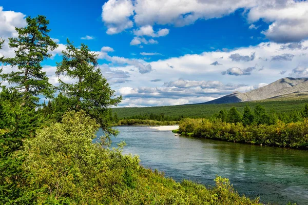 Beautiful North River Forest Area Subpolar Urals Summer Day — Stock Photo, Image