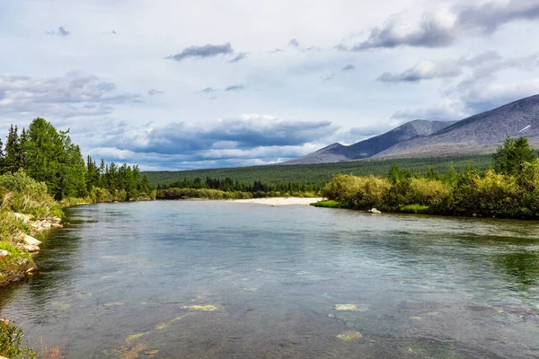 Beautiful North River Forest Area Subpolar Urals Summer Day — Stock Photo, Image