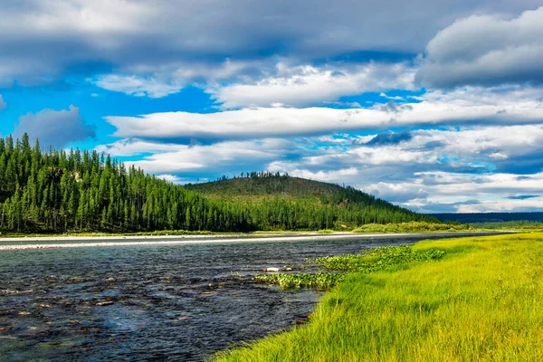 夏天的一天 美丽的北河在亚极区的森林里 — 图库照片