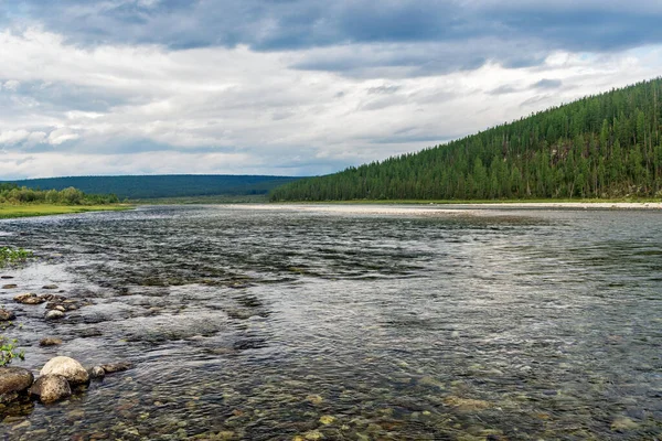 River Kozhim Forest Area Subpolar Urals Gloomy Day — Stock Photo, Image