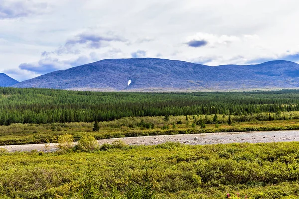 Północna Rzeka Obszarze Leśnym Uralu Subpolarnym Letni Dzień — Zdjęcie stockowe