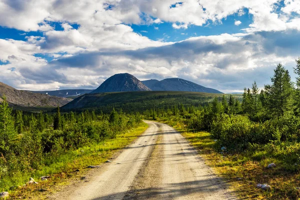 Chemin Terre Travers Une Forêt Conifères Vers Les Montagnes Dans — Photo