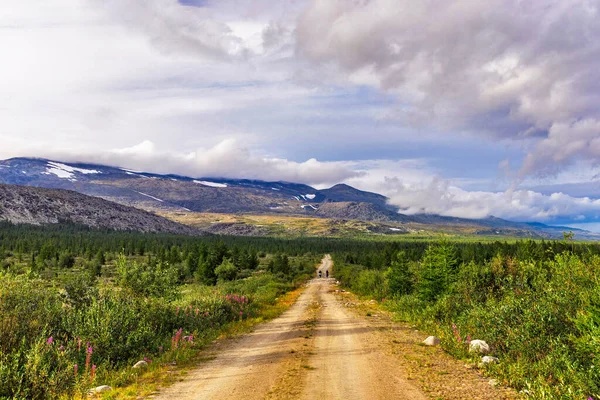 Dirt Road Coniferous Forest Mountains Subpolar Urals Summer Day — Stock Photo, Image