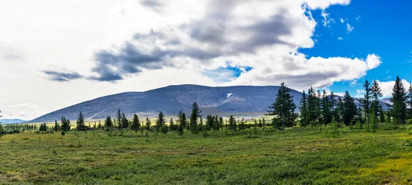 Forêt Conifères Toundra Subpolaire Chaîne Montagnes Lointaine Dans Oural Jour — Photo