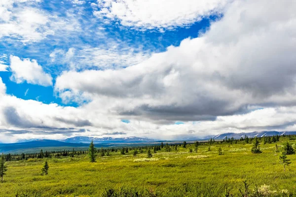 夏の日にウラル山脈の亜寒帯ツンドラ針葉樹林と遠くの山脈 — ストック写真