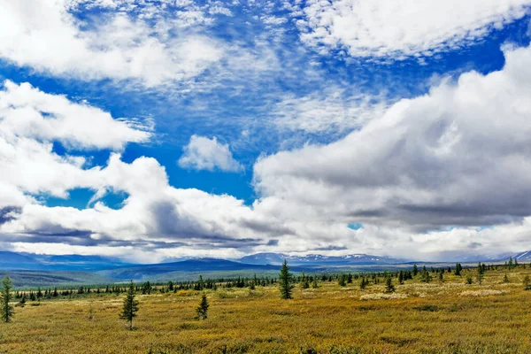 Kutup Altı Tundra Kozalaklı Orman Urallar Daki Uzak Dağ Sıraları — Stok fotoğraf