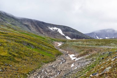 Bir yaz günü Subpolar Urallar 'da bir yamaçtan bir dağ vadisine