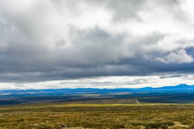Bir yaz günü Urallar 'da ufuktaki tundra ve dağ sırasının görüntüsü