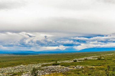 Bir yaz günü Urallar 'da ufuktaki tundra ve dağ sırasının görüntüsü
