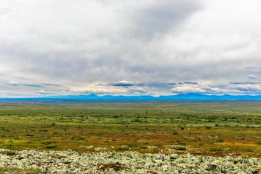 Bir yaz günü Urallar 'da ufuktaki tundra ve dağ sırasının görüntüsü