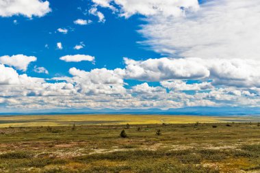 Bir yaz günü Urallar 'da ufuktaki tundra ve dağ sırasının görüntüsü